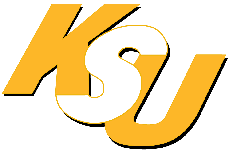 Kennesaw State Owls 0-2011 Wordmark Logo t shirts iron on transfers v2